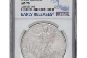 2007-W Burnished Silver Eagle NGC MS70 ER