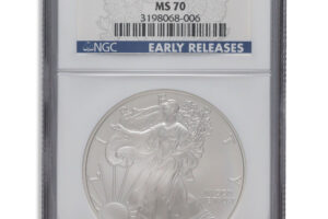 2008-W Burnished Silver Eagle NGC MS70 ER