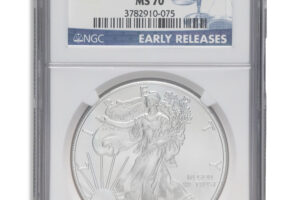 2013-W Burnished Silver Eagle NGC MS70 ER