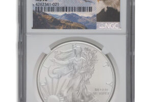 2015-W Burnished Silver Eagle NGC MS70 ER