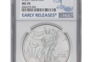 2017-W Burnished Silver Eagle NGC MS70 ER