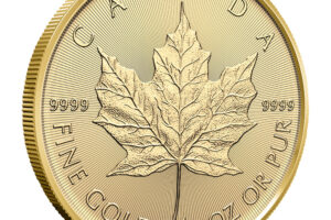 2026 1/2 oz Gold Maple Leaf