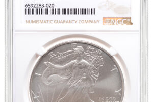 2007-W Burnished Silver Eagle NGC MS70