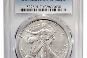 2014-W Burnished Silver Eagle PCGS SP70